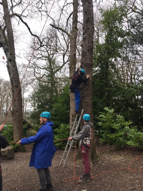 Tree Climbing