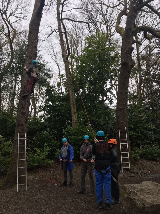 Tree Climbing