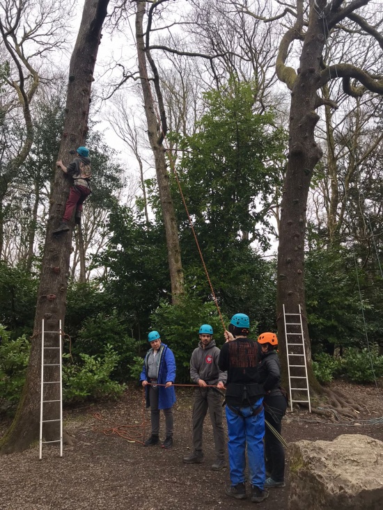 Tree Climbing